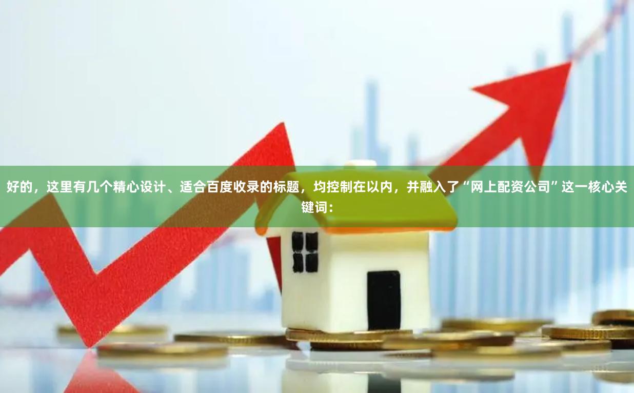 好的，这里有几个精心设计、适合百度收录的标题，均控制在以内，并融入了“网上配资公司”这一核心关键词：