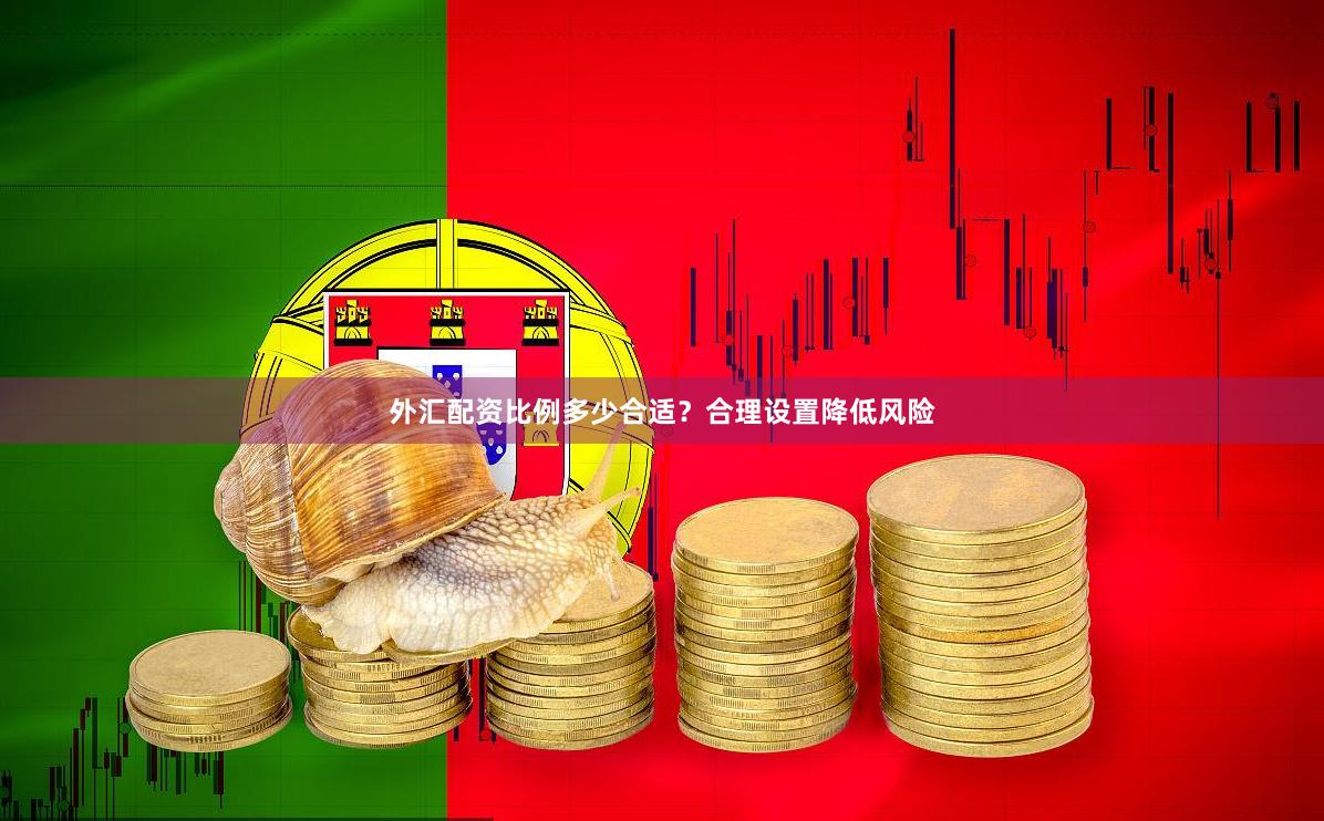 外汇配资比例多少合适?合理设置降低风险