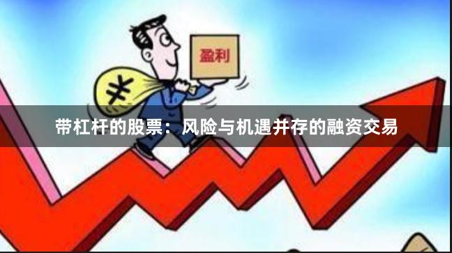 带杠杆的股票：风险与机遇并存的融资交易